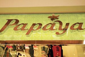 Polished Stainless Steel Letters - Papaya